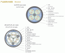 聚乙烯絕緣鋼絲鎧裝計算機電纜