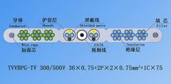 扁平絞合型排列帶屏蔽、鋼芯和視頻線電梯電纜