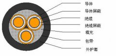 3*2.5，3*3，3*4，3*6，3*10，3*16，3*25屏蔽電纜結(jié)構(gòu)圖