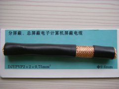 DJYPVP 2*2*0.75 分屏蔽、總屏蔽電子計(jì)算機(jī)屏蔽電纜